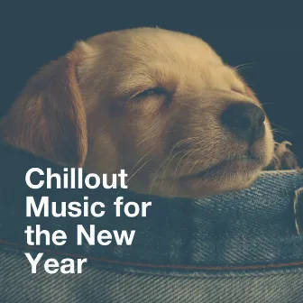 Chillout Music for the New Year by Unknown Artist