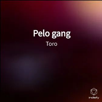 Pelo gang by Toro