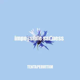 Impossible Sadness by TENTAPERVITXM