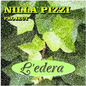 L'edera by Vincenzo D'Acquisto