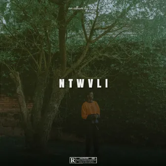 NTWVLI by 99 Gang