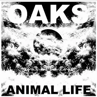 Animal Life by Oaks