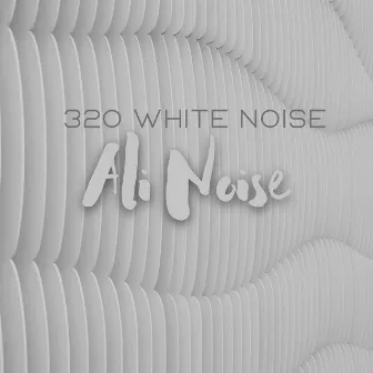 320 White Noise by Ali Noise