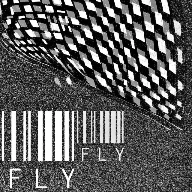 FLY FLY R&B - Remix