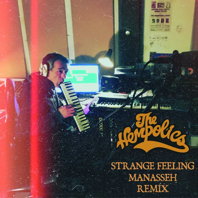 Strange Feelings (Manasseh Remix)