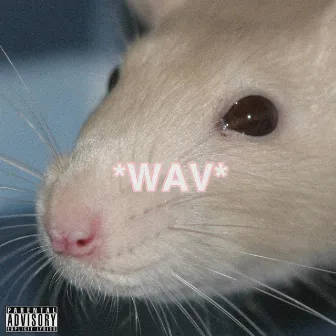 Packrat.Wav by dejuan the DON