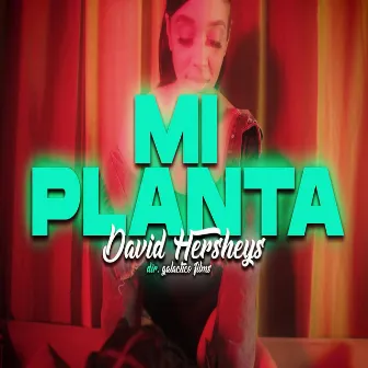 Mi Planta by David Hersheys