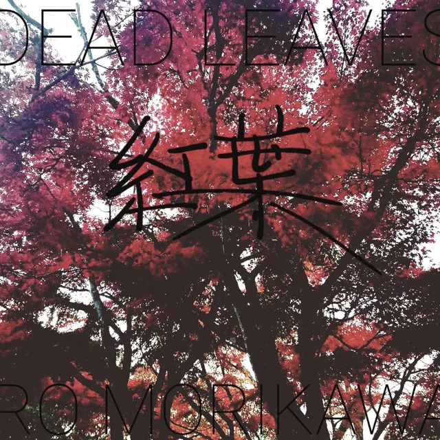 Dead Leaves