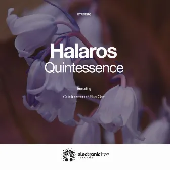 Quintessence by Halaros