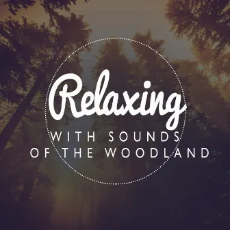 Relaxing with Sounds of the Woodland by Sleep Music with Nature Sounds Relaxation