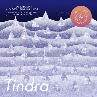 Tindra by Pelle Olofson