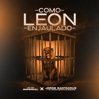 Como Leon Enjaulado by Jorge Santacruz Y Su Grupo Quinto Elemento