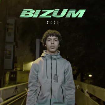 Bizum by Wise