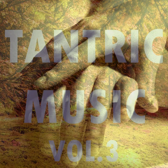 Tantric Music - Vol. 3