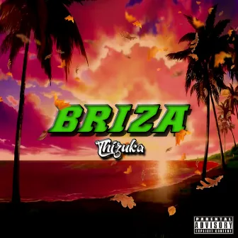 Briza by @ojbproducer