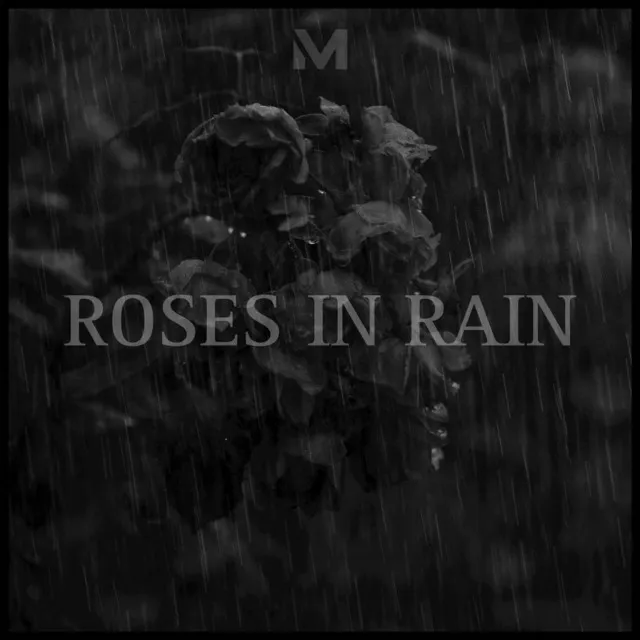 Roses In Rain