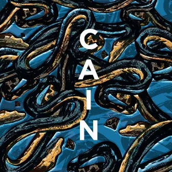 The Collection 2014-2019 by Cain