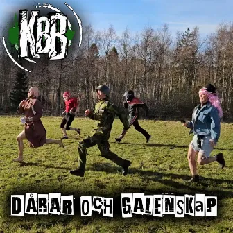 Dårar och galenskap by Kardborrebandet