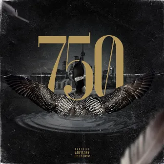 750Loon by 750