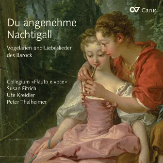 Du angenehme Nachtigall. Vogelarien und Liebeslieder des Barock by Ute Kreidler