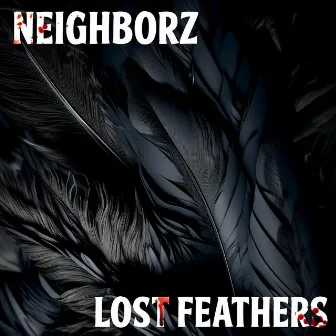 Lost Feathers by Neighborz