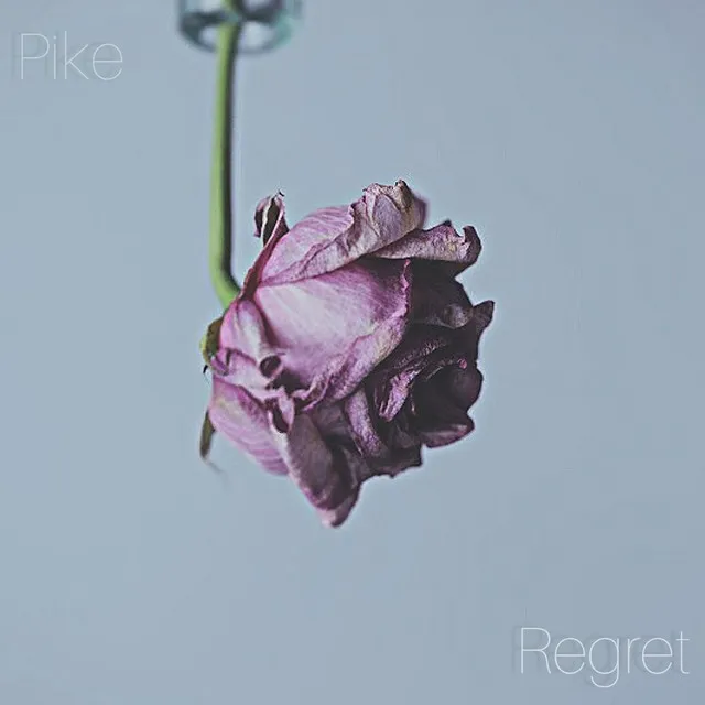 Regret