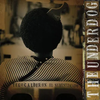 The Underdog - El Subestimado by Tego Calderón