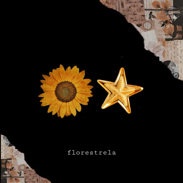 Estrelas