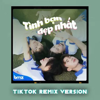 Tình Bạn Đẹp Nhất (TikTok Remix) by Unknown Artist