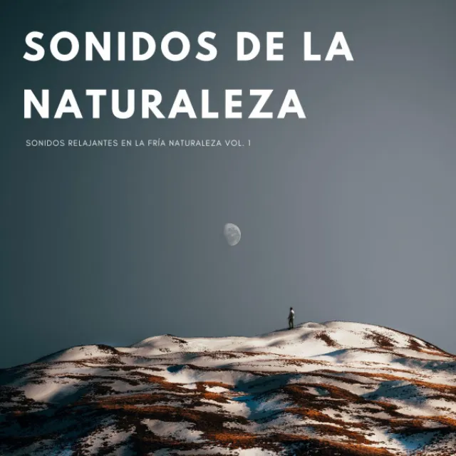 Todo El Día En La Naturaleza