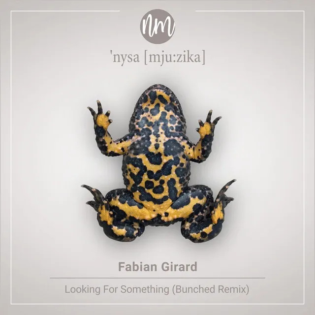 Looking for Something - Bunched Remix