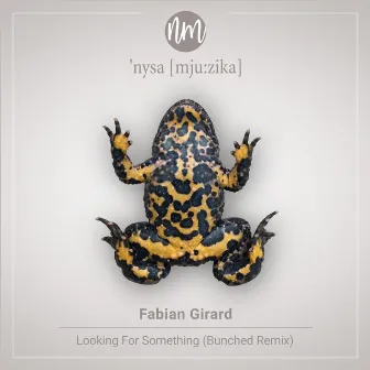 Looking for Something (Bunched Remix) by Fabian Girard