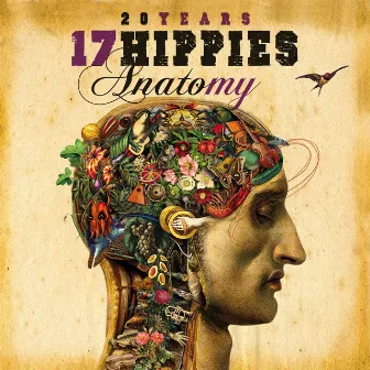 20 Years 17 Hippies - Anatomy by 17 Hippies