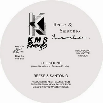 The Sound / How To Play Our Music by Reese & Santonio