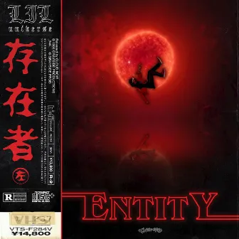 E N T I T Y by Lil Universe