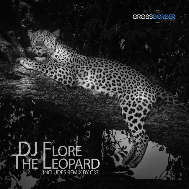 The Leopard - C37 Remix