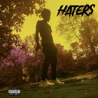 Haters by Stizzle