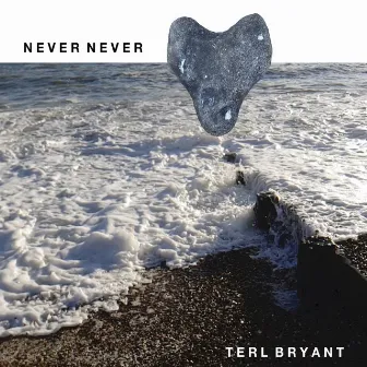 Never Never by Terl Bryant