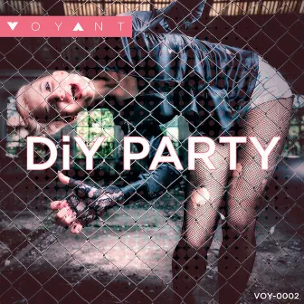 DIY Party by Steve Ouimette