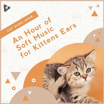 An Hour of Soft Music for Kittens Ears by Cat Music Hour