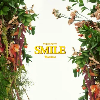 Smile (Remixes) by Benjamin Ingrosso