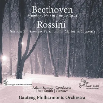 Beethoven Symphony No. 1 by Gauteng Philharmonic Orchestra