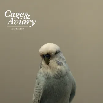 Migration by Cage & Aviary