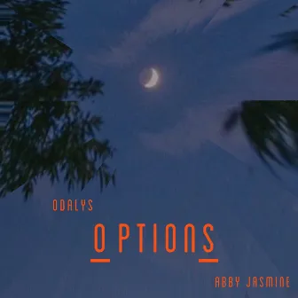 Options by Odalys