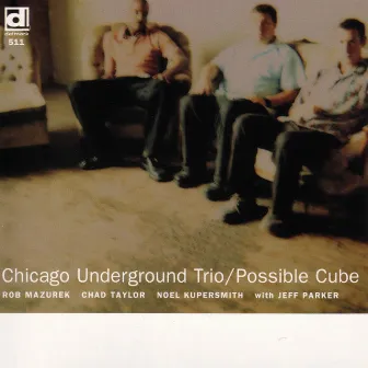 Possible Cube by Chicago Underground Trio