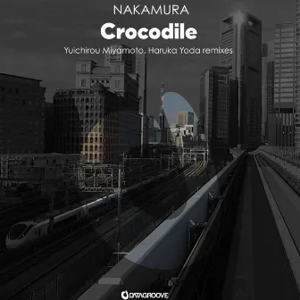 Crocodile by NAKAMURA