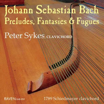 Johann Sebastian Bach: Preludes, Fantasies & Fugues by Peter Sykes