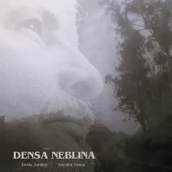 Densa Neblina by Duda Jardim