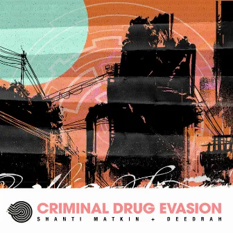 Criminal Drug Evasion by Shanti Matkin