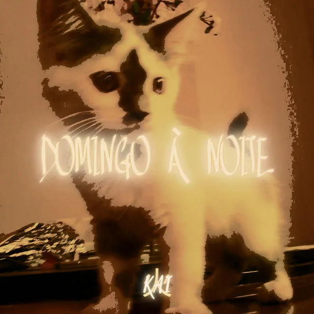 Domingo à Noite